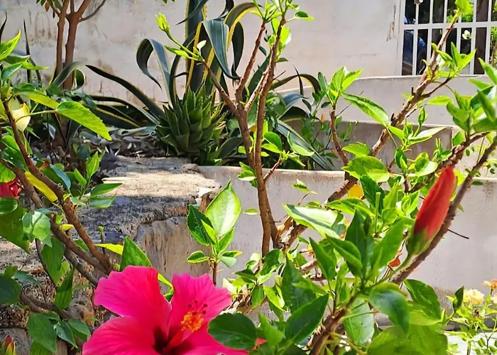 別荘 Casa Di Marco Independent With Spectacular View