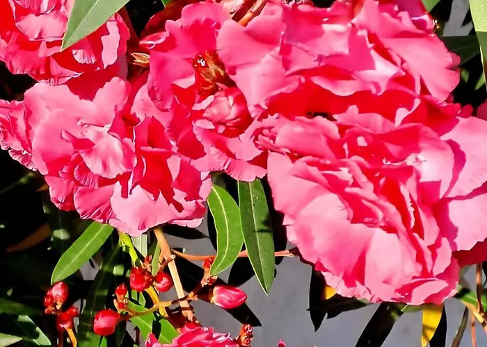 Casa Di Marco Independent With Spectacular View 別荘 *